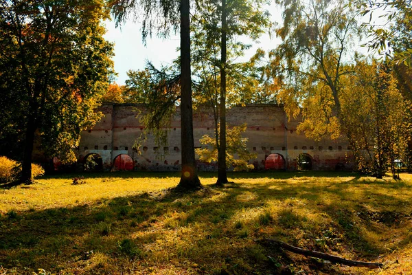 Őszi Park Fák Őszi Parkban Sétáló Hely — Stock Fotó