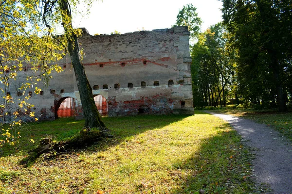 Осінній Парк Дерева Осінньому Парку Місце Прогулянок — стокове фото