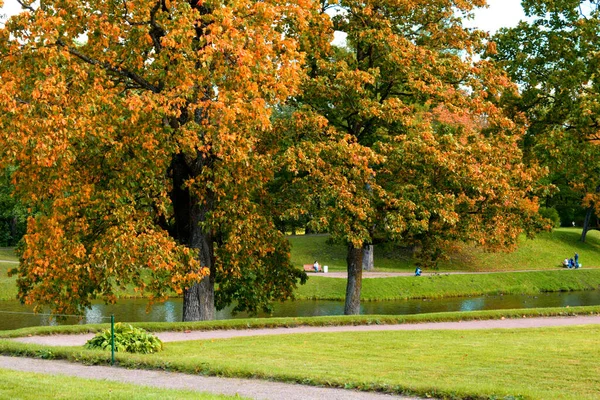 Höst Park Plats För Rekreation — Stockfoto