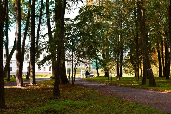 Autumn Park Place Recreation — Stock Photo, Image