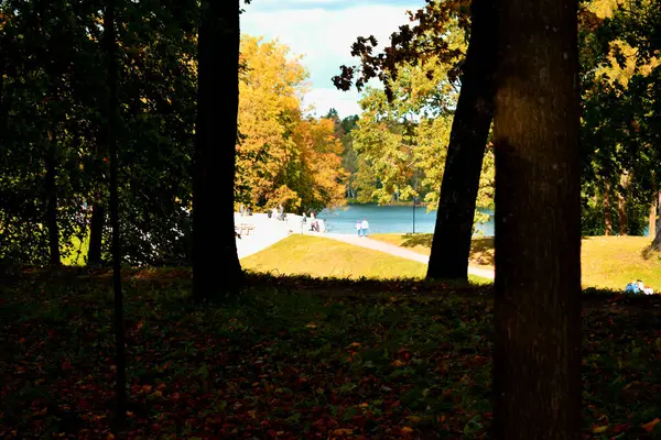Herbstlicher Park Ein Ort Der Erholung — Stockfoto