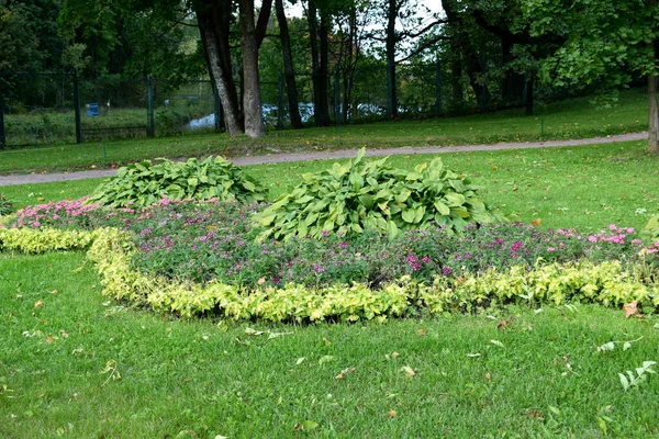 Höst Park Plats För Rekreation — Stockfoto