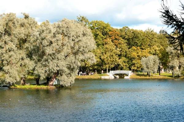 Lago Parque Día Otoño — Foto de Stock