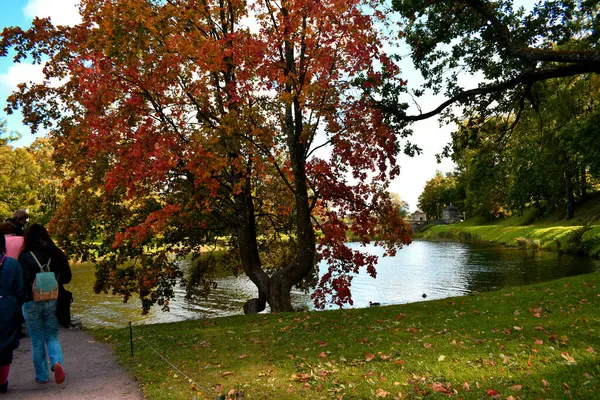 Autumn Day Park — Stock Photo, Image