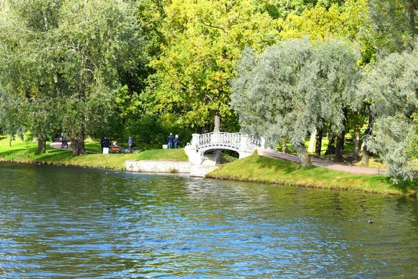 Jezero Parku Podzimní Den — Stock fotografie