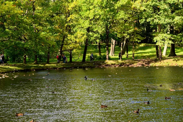 Lago Nel Parco Giornata Autunnale — Foto Stock