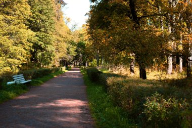 Parkta sonbahar günü