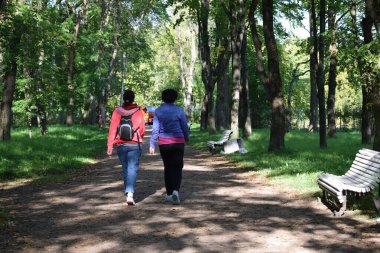 Parkta sonbahar günü