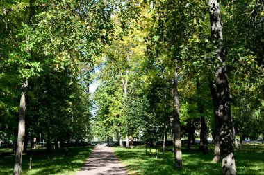 Parkta sonbahar günü