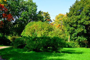 Parkta sonbahar günü