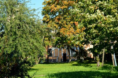 Parkta sonbahar günü