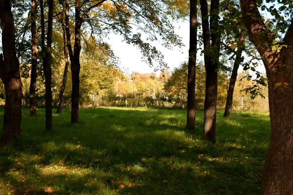 Herbsttag Park — Stockfoto