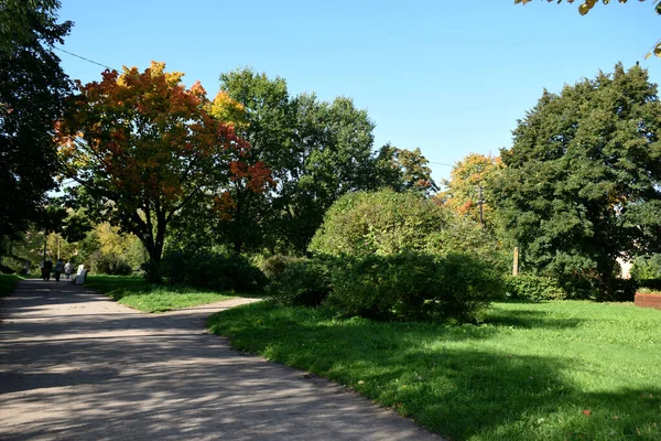 Autumn Day Park — Stock Photo, Image