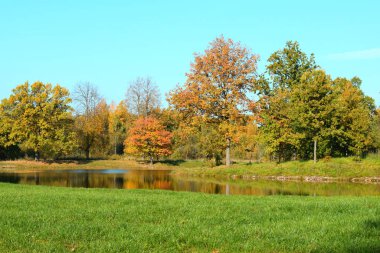 Güz Parkı, yürümek için bir yer.