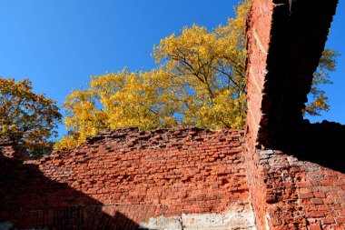 yıkılan bina, parktaki bir binanın kalıntıları.