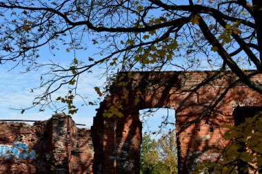 Güz Parkı, yürümek için bir yer.