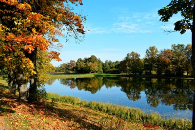 Güz Parkı, yürümek için bir yer.