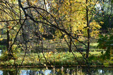 Güz Parkı, yürümek için bir yer.