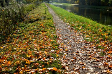 Güz Parkı, yürümek için bir yer.