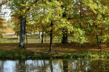 Güz Parkı, yürümek için bir yer.