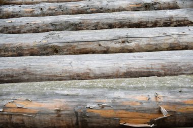 Ahşap binalar, kırsal alanlar, köydeki çiftlikler.