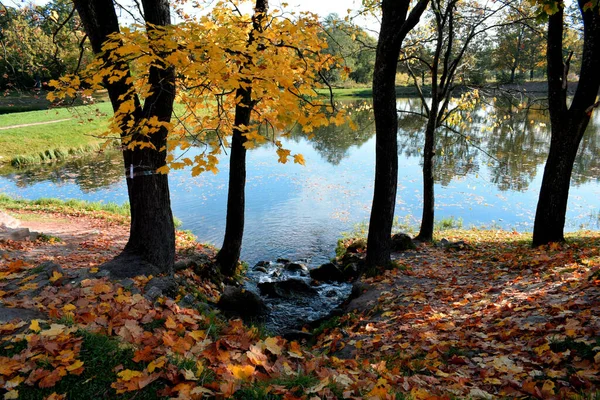 Parque Otoño Lugar Para Caminar — Foto de Stock