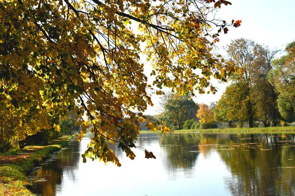 Parque Otoño Lugar Para Caminar —  Fotos de Stock