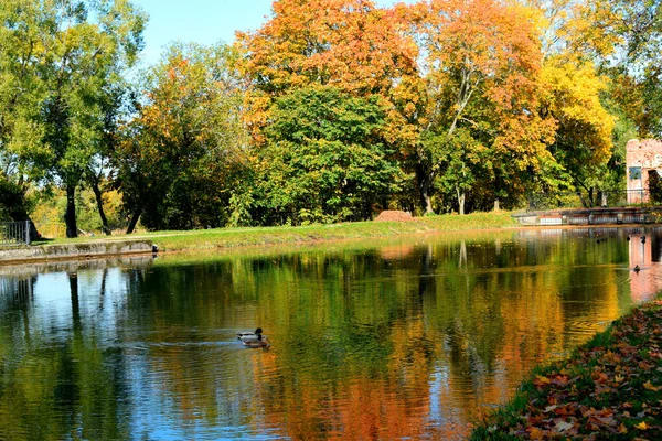 Outono Parque Lugar Para Caminhar — Fotografia de Stock
