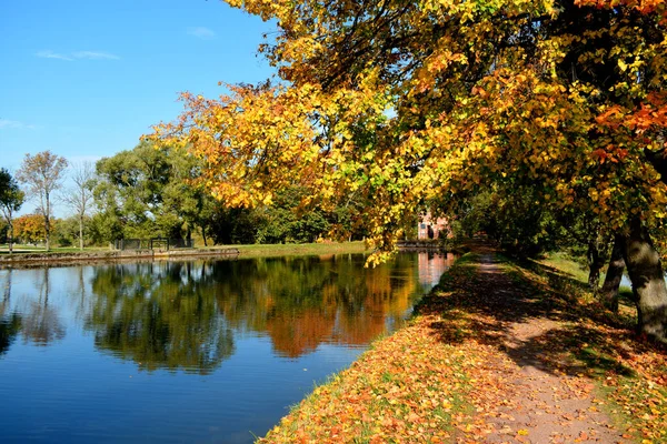 Parque Otoño Lugar Para Caminar — Foto de Stock