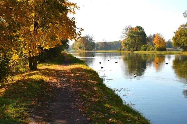 Höst Park Plats För Promenader — Stockfoto