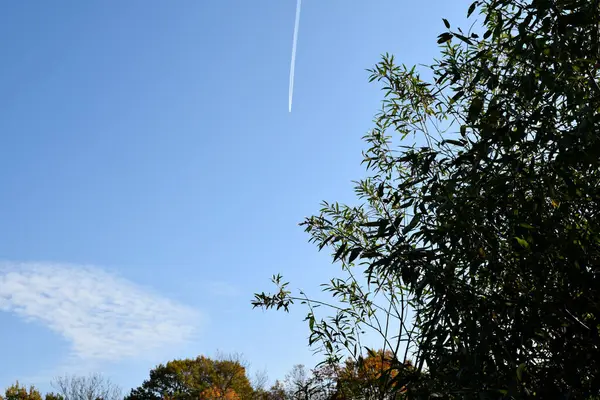 Gökyüzünde Bir Uçak Mavi Gökyüzü Arka Plan — Stok fotoğraf