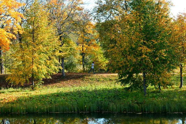 Höst Park Plats För Promenader — Stockfoto