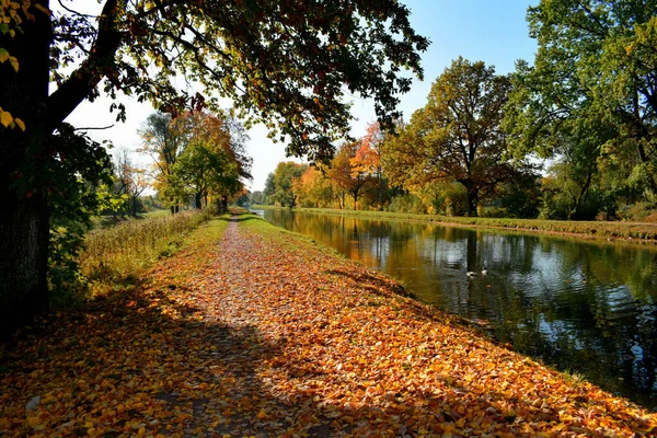 秋天的公园 一个步行的地方 — 图库照片