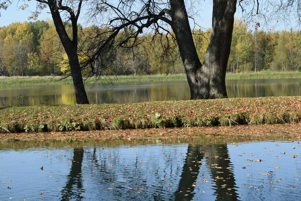 Höst Park Plats För Promenader — Stockfoto