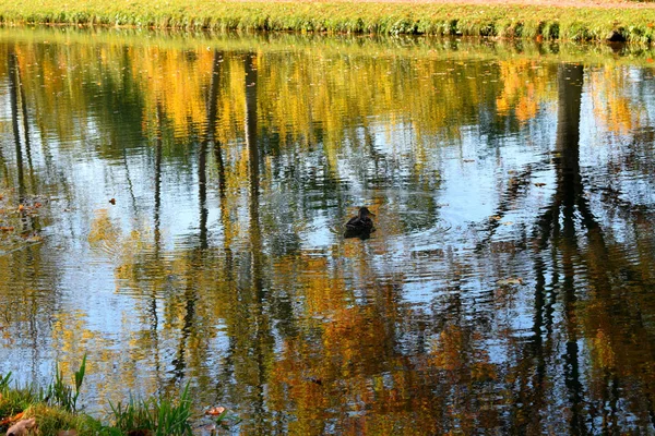 Herbst Park Ein Ort Zum Wandern — Stockfoto
