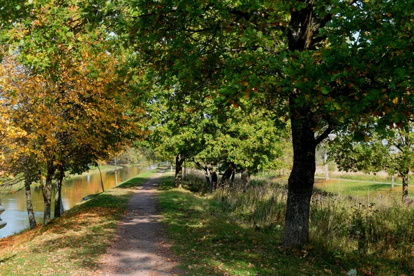 Outono Parque Lugar Para Caminhar — Fotografia de Stock