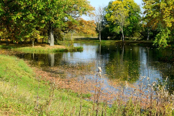 Autumn Park Place Walking — Stock Photo, Image