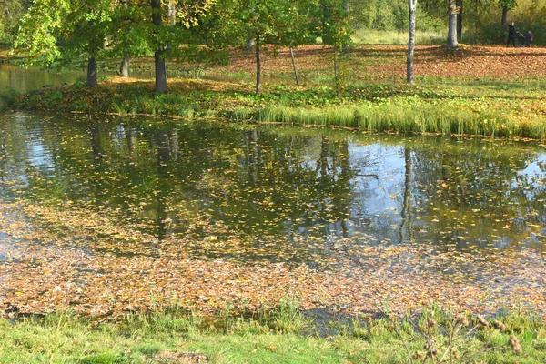 Parque Otoño Lugar Para Caminar — Foto de Stock