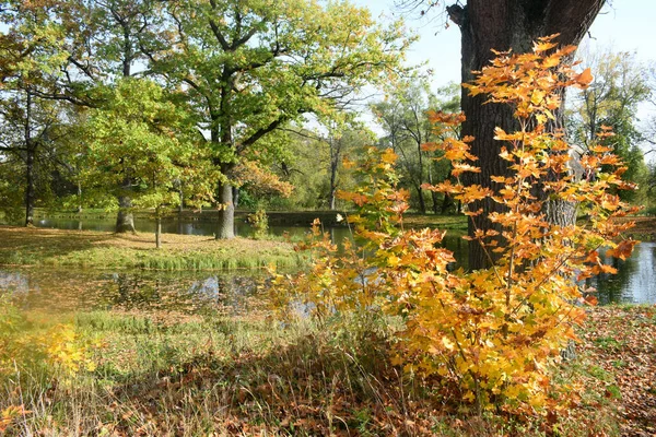 Jesienny Park Miejsce Spacerów — Zdjęcie stockowe