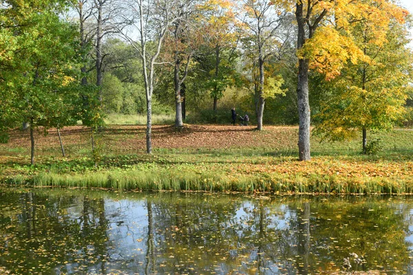 Herfst Park Een Plek Wandelen — Stockfoto