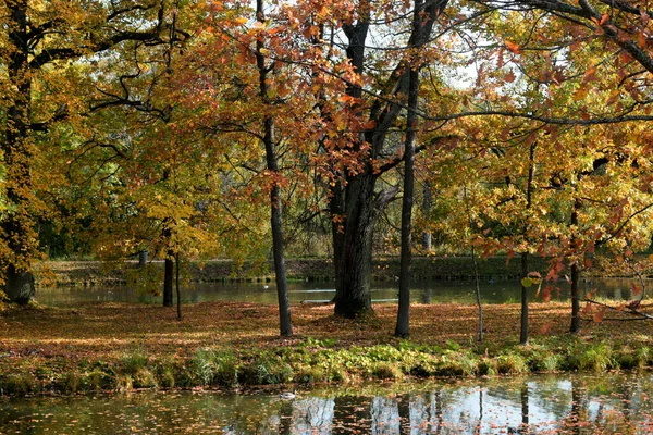 Jesienny Park Miejsce Spacerów — Zdjęcie stockowe