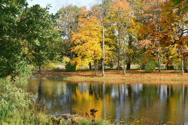 Parque Otoño Lugar Para Caminar — Foto de Stock