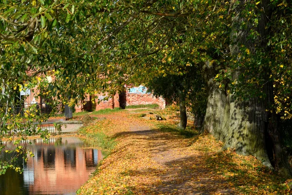 Autumn Park Place Walking — Stock Photo, Image