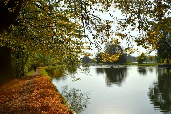 Parque Otoño Lugar Para Caminar — Foto de Stock