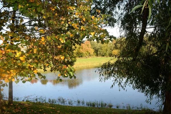 Parque Otoño Lugar Para Caminar — Foto de Stock