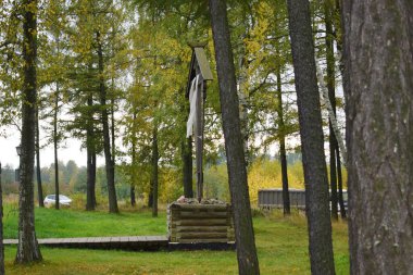 Parkta sonbahar, Parkta ağaçlar