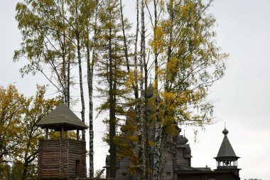 Güz Parkı, yürümek için bir yer.