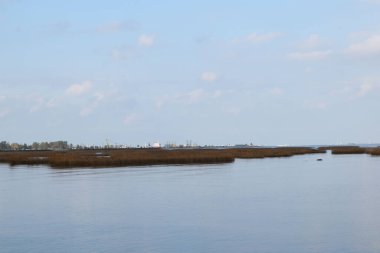 Sahil sazlıklarla kaplanmış.