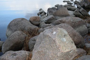 Sahildeki deniz taşları