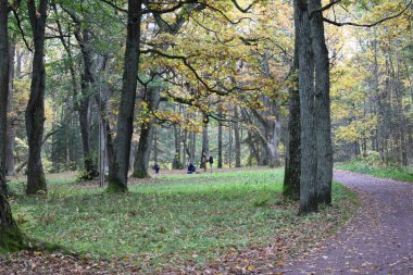 Güz Parkı, yürümek için bir yer.